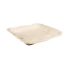 Biodore Bord Palmblad 24 x 24 cm (25 stuks)