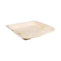 Biodore Bord Palmblad 24 x 24 cm (25 stuks)