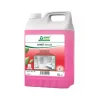 Green Care Professional Sanet Lavocid Sanitairreiniger (5 liter)