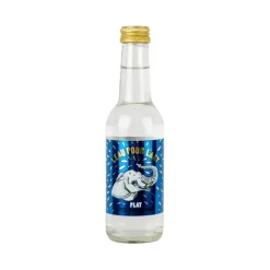 L’eau pour l’art Mineraalwater Plat Glas (24x25cl)