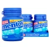 Mentos Kauwgom Breeze Mint Bottle (6x 42 stuks)
