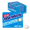 Mentos Kauwgom Mighty Mint Blister (12 stuks)