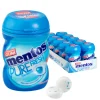 Mentos Kauwgom Pure Fresh Mint Mini (10x 24g)