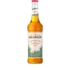 Monin Siroop Agave (70cl)