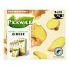 Pickwick Professional Ginger (75x 1,75g)
