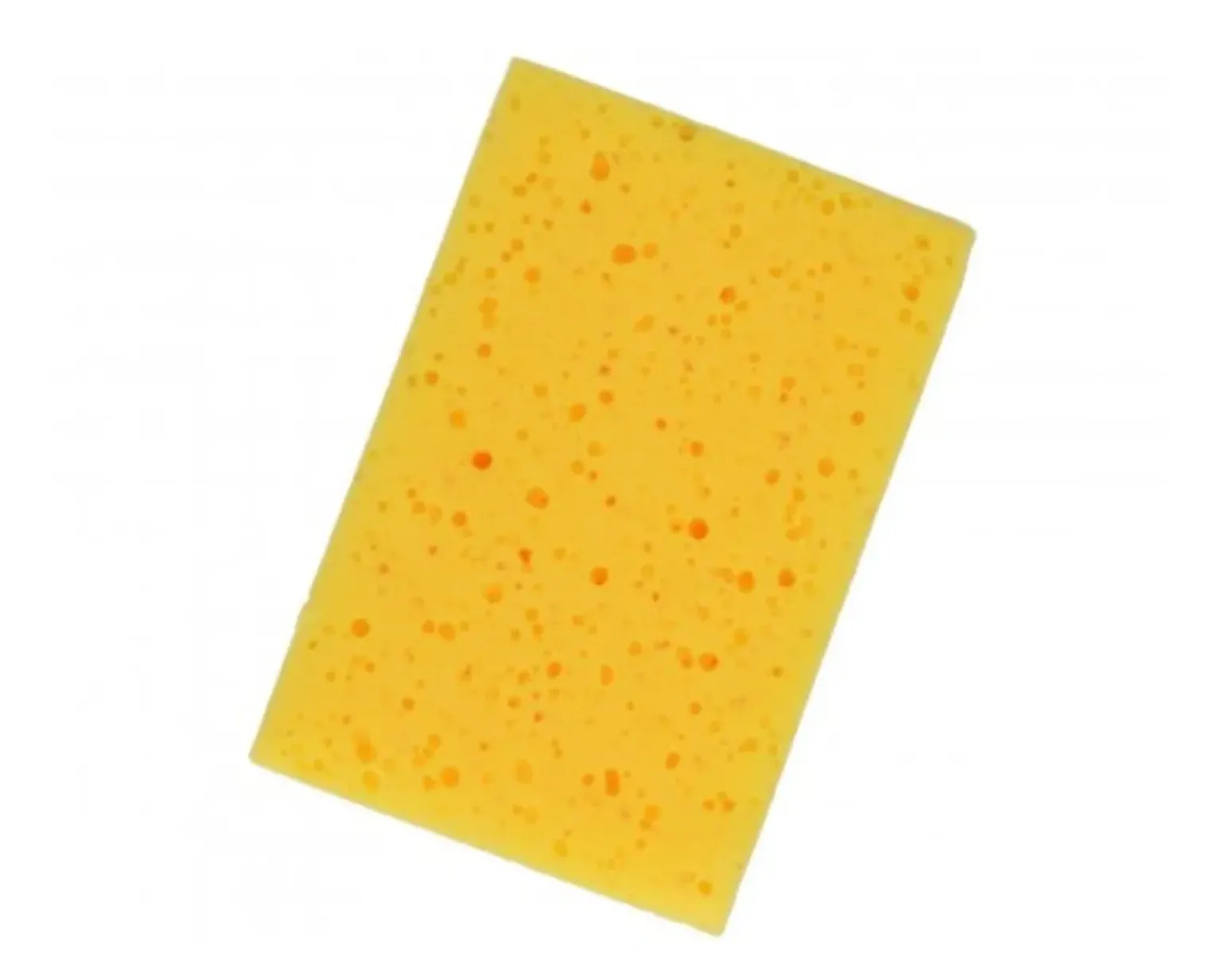 Protecton Insectenspons