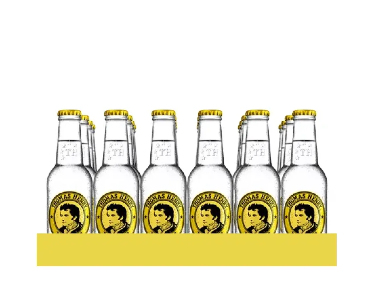 Thomas Henry Tonic Water Flesje (24x 20cl)
