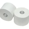 Toiletpapier met dop recycled 2 laags (36x 100m)