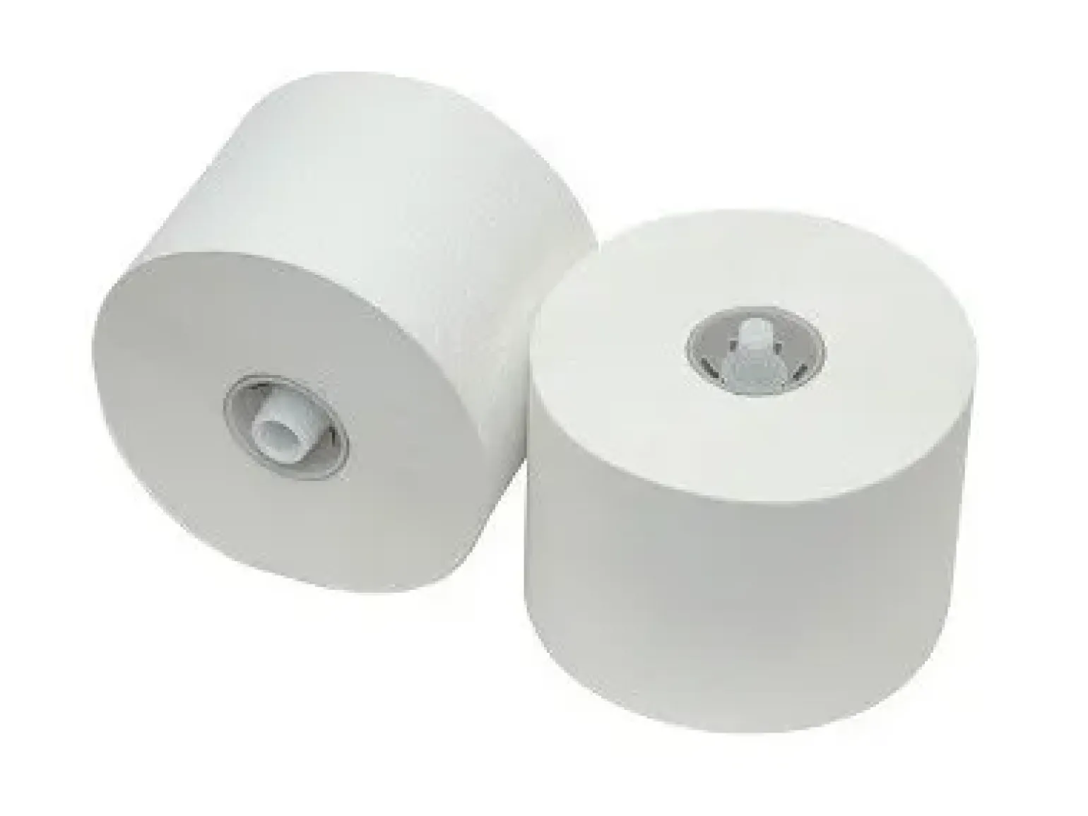 Toiletpapier met dop recycled 2 laags (36x 100m)